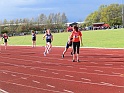 sal_04 273